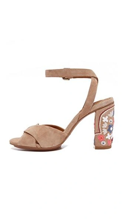 Shop See By Chloé China Sandals In Sabbia