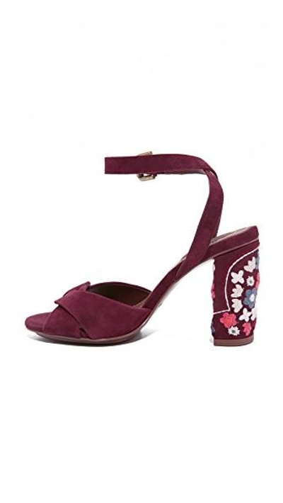 Shop See By Chloé China Sandals In Merlot