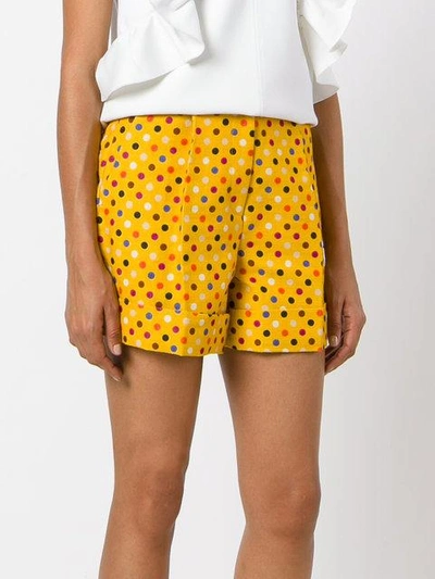 Shop Rossella Jardini Shorts Mit Punkte-print In Yellow