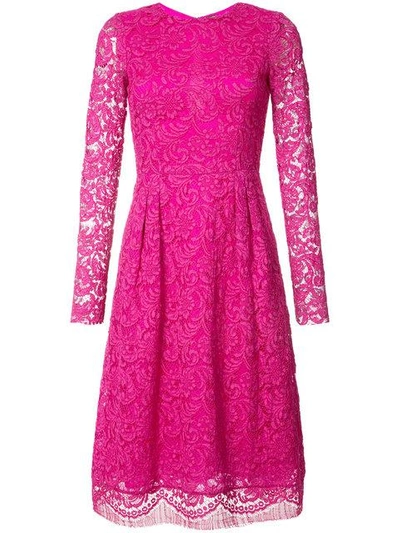 Shop Adam Lippes Lace Dress
