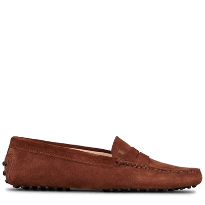 Tod's Gommino Driving Shoes In Suede In Brown