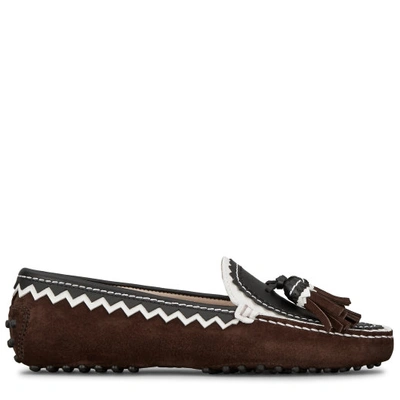 Tod's Gommino Driving Shoes In Suede In White/black/brown