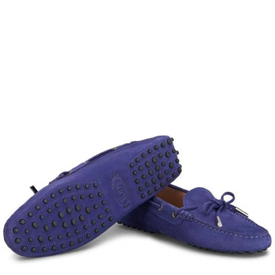 Shop Tod's Gommino Driving Shoes In Nubuck In Purple