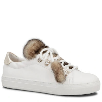 Tod's Sneakers In Leather In Gold/white