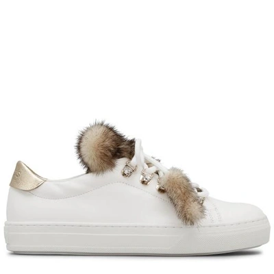 Shop Tod's Sneakers In Leather In Gold/white