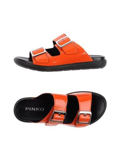 Shop Pinko Sandals In Orange