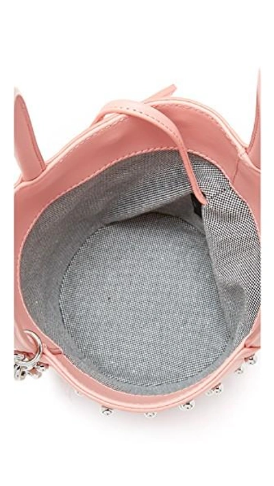Shop Alexander Wang Roxy Mini Bucket Bag In Blush
