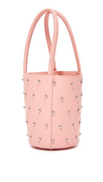 Shop Alexander Wang Roxy Mini Bucket Bag In Blush