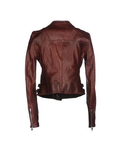 Shop Dolce & Gabbana Jackets In Cocoa