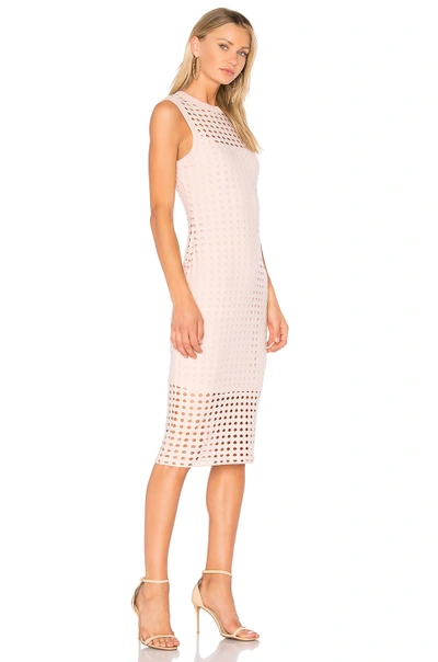Shop Alexander Wang T Fitted Tank Dress In Blush