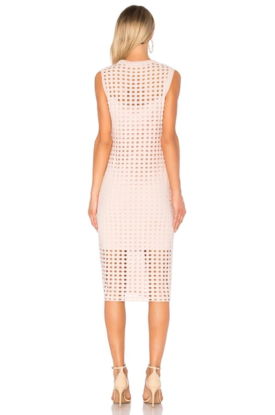 Shop Alexander Wang T Fitted Tank Dress In Blush