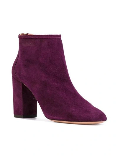 Shop Aquazzura 'downtown' Ankle Boots