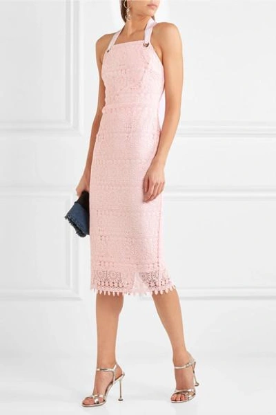 Shop Rebecca Vallance Testa Apron Guipure Lace Midi Dress In Pink