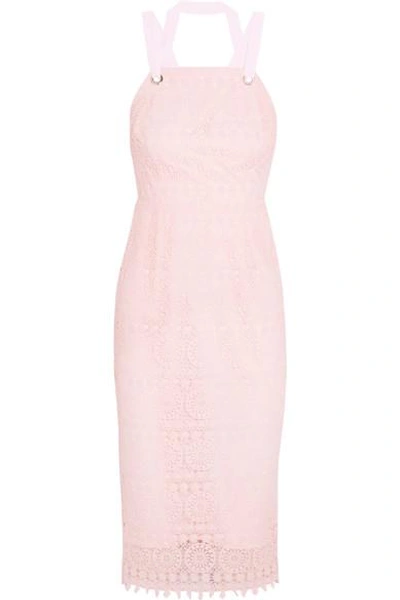 Shop Rebecca Vallance Testa Apron Guipure Lace Midi Dress In Pink