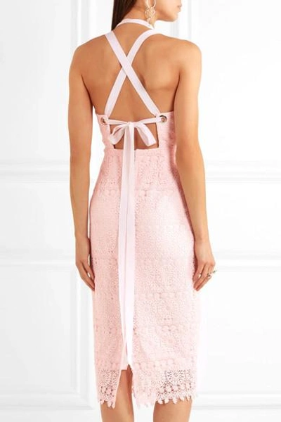 Shop Rebecca Vallance Testa Apron Guipure Lace Midi Dress In Pink