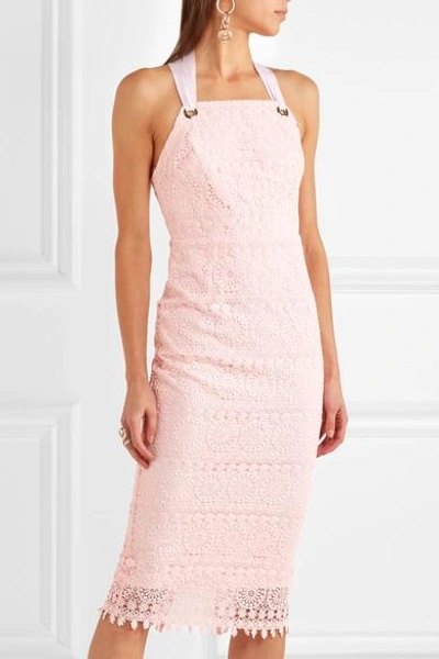 Shop Rebecca Vallance Testa Apron Guipure Lace Midi Dress In Pink