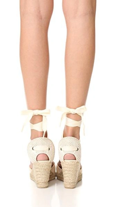 Shop Soludos Tall Wedge Espadrilles In Blush