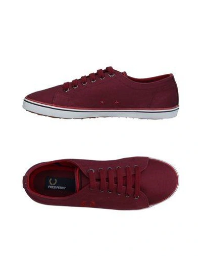 Shop Fred Perry Sneakers In Maroon