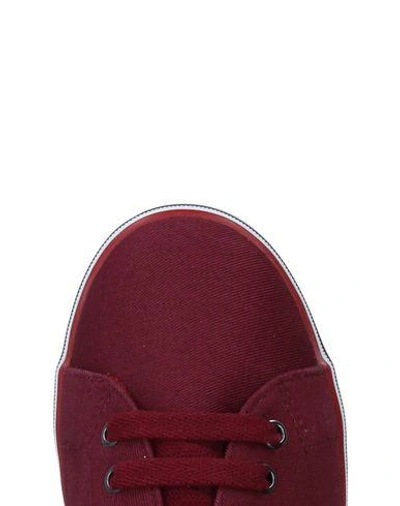 Shop Fred Perry Sneakers In Maroon