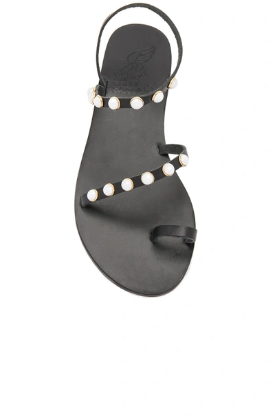 Shop Ancient Greek Sandals Apli Eleftheria Pearls Sandal In Black