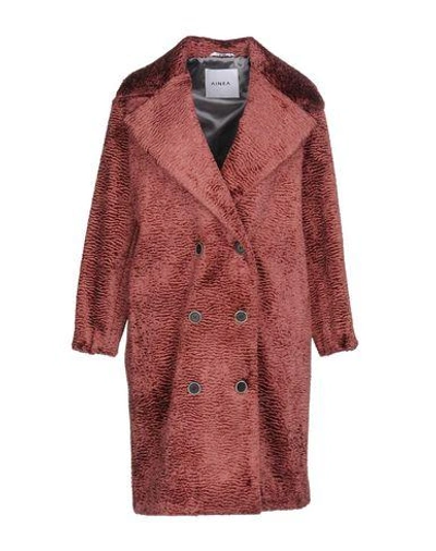 Shop Ainea Coats In Maroon