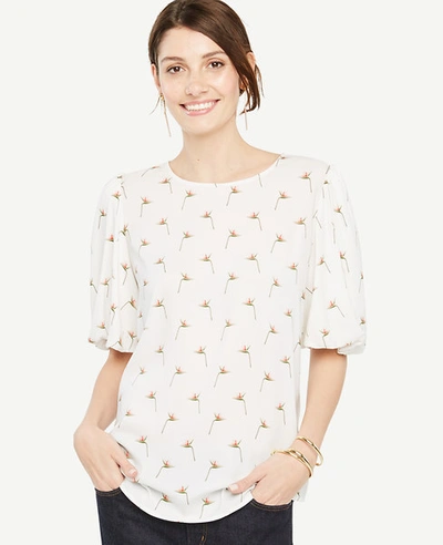 Ann Taylor Petite Paradise Lantern Sleeve Tee In Winter White