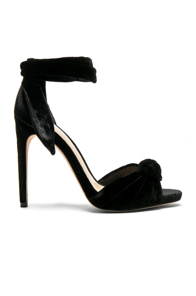 Shop Alexandre Birman Velvet Jessica Heels In Black