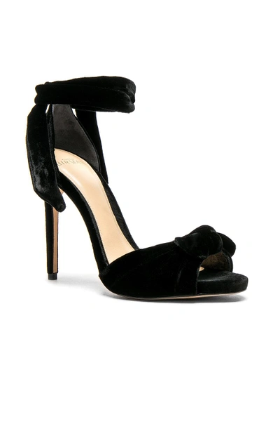 Shop Alexandre Birman Velvet Jessica Heels In Black