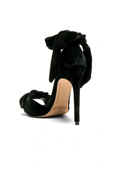 Shop Alexandre Birman Velvet Jessica Heels In Black