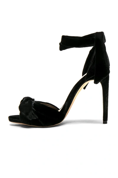 Shop Alexandre Birman Velvet Jessica Heels In Black