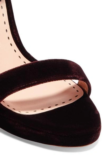 Shop Rupert Sanderson Preciosa Velvet Sandals In Claret