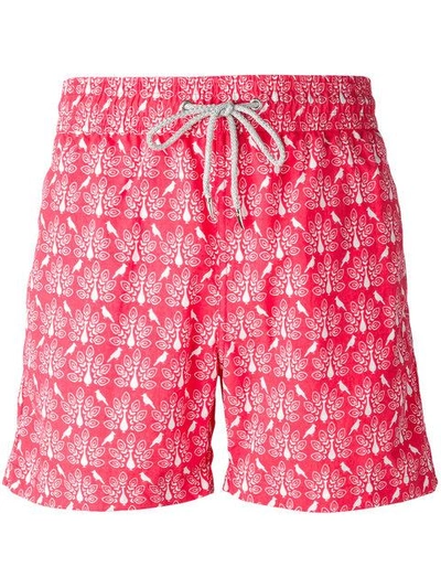 Shop Love Brand Peacock Print Swim Shorts In Red