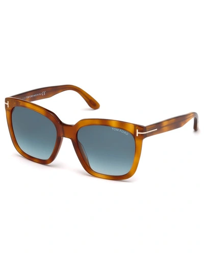 Tom Ford Amarra Square Acetate Sunglasses, Havana/blue In Brown Pattern