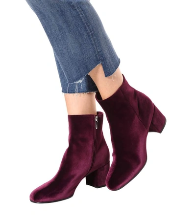 Shop Gianvito Rossi Margaux Velvet Ankle Boots In Purple