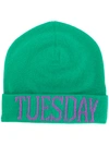  Alberta Ferretti Tuesday Beanie - Green