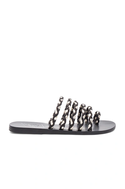 Shop Ancient Greek Sandals Niki Braids Slide In Black