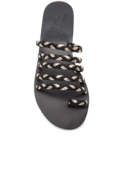 Shop Ancient Greek Sandals Niki Braids Slide In Black