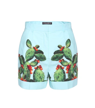 Dolce & Gabbana Exclusive To Mytheresa.com - Printed Cotton Shorts In Multicoloured