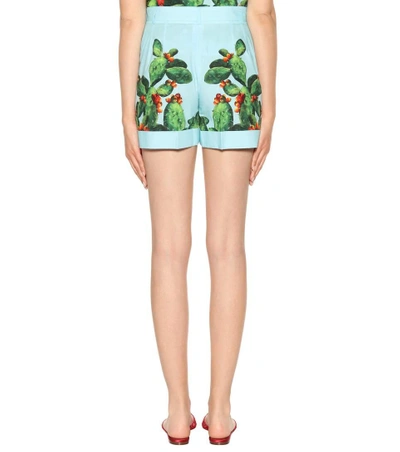 Shop Dolce & Gabbana Exclusive To Mytheresa.com - Printed Cotton Shorts In Multicoloured