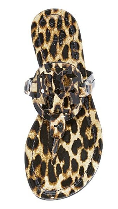 Shop Tory Burch Miller Thong Sandals In Leopard