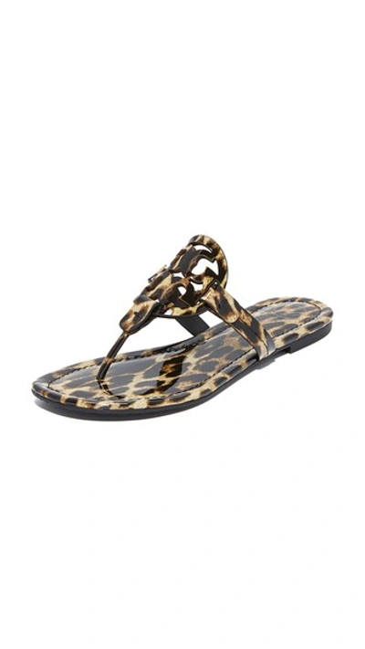 Tory Burch Miller Printed Flat Thong Sandals In Natural Leopard | ModeSens