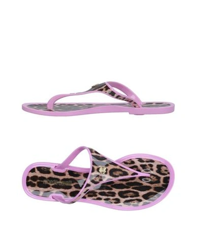 Shop Roberto Cavalli Flip Flops In Pink
