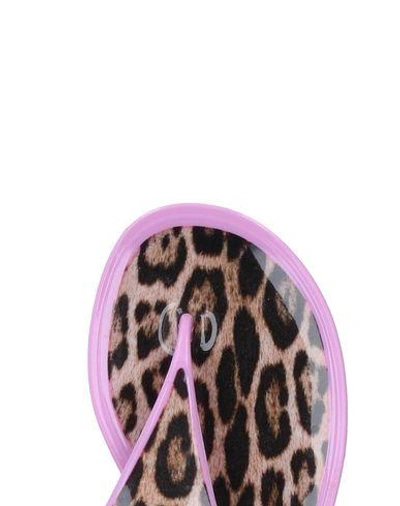 Shop Roberto Cavalli Flip Flops In Pink