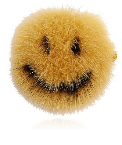 Anya Hindmarch Smiley Mink Fur Sticker In Yellow