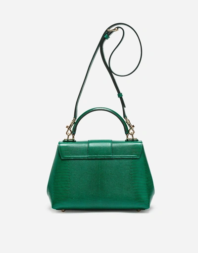 Shop Dolce & Gabbana Small Leather Lucia Bag In Green