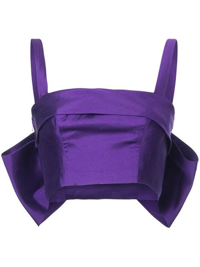 Shop Bambah Back Bow Bustier Top In Purple