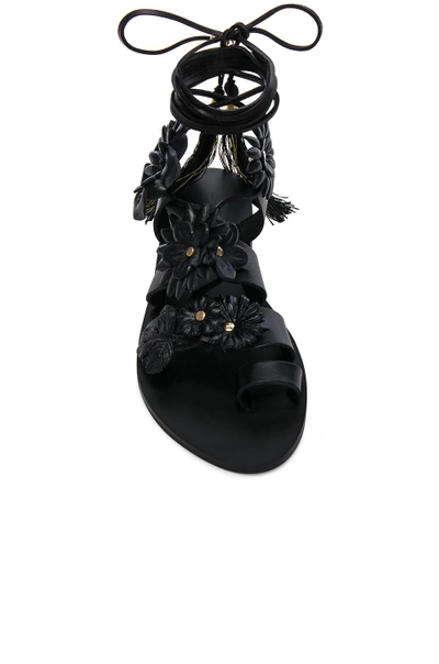 Shop Elina Linardaki For Fwrd Leather Lace Up Sandals In Black