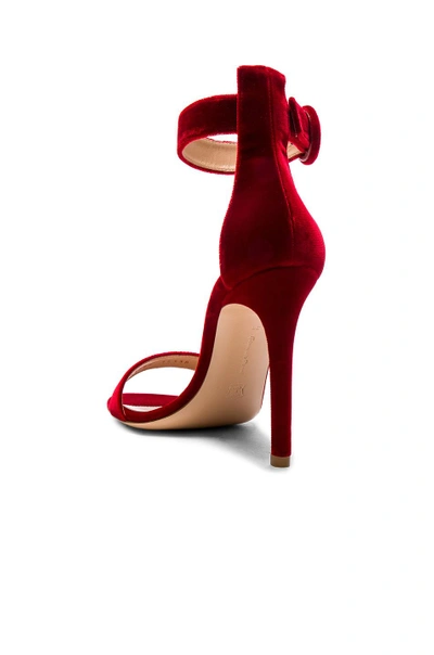 Shop Gianvito Rossi Velvet Portofino Heels