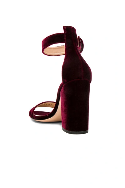 Shop Gianvito Rossi Velvet Versilia Block Heels In Red