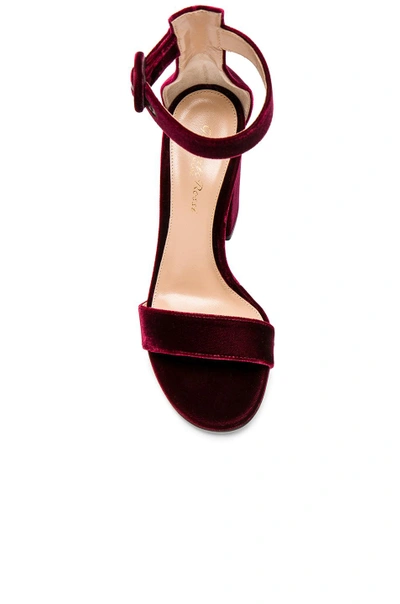 Shop Gianvito Rossi Velvet Versilia Block Heels In Red